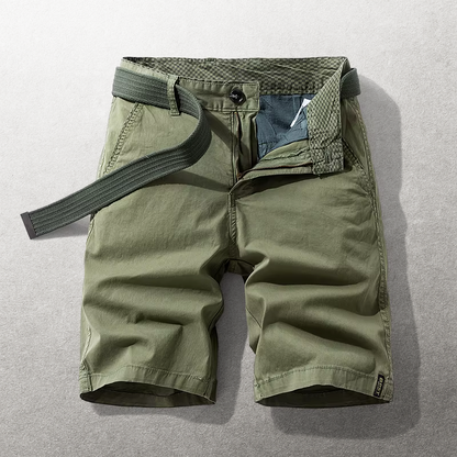 Hudson Cotton Chino Shorts