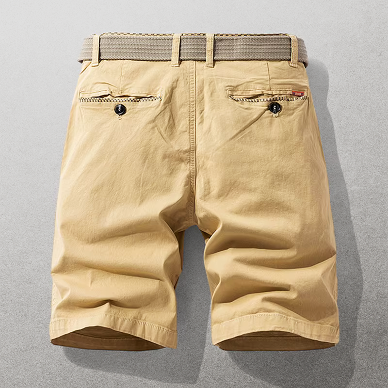 Hudson Cotton Chino Shorts